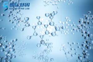 整合！金華親子鑒定哪里可以做(2025新地址、價(jià)格表)