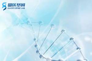 人必看！萬柏林親子鑒定需要多少錢？（附2025年最新價(jià)格）