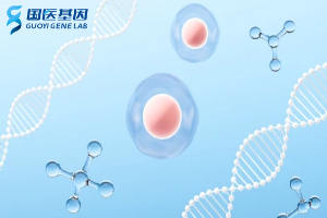 渭南10家親子鑒定中心（附2025年鑒定機(jī)構(gòu)地址）