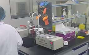 知曉！羅定上戶口親子鑒定中心地址一覽（附2025鑒定收費(fèi)標(biāo)準(zhǔn)）