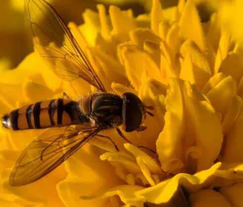西安生殖助孕中心靠譜么,試管資質(zhì)哪家比較好看
