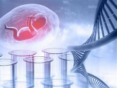 專業(yè)的醫(yī)療團隊