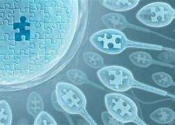 揚州試管嬰兒技術(shù)中的胚胎質(zhì)量提升策略