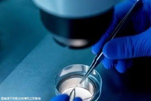 2026版廣州三代試管單周期費用介紹