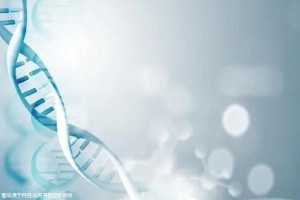 無(wú)月經(jīng)可以做試管嗎？