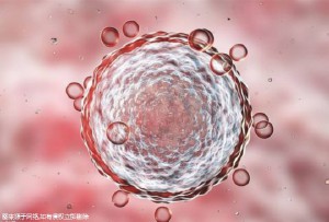 試管嬰兒治療中月經(jīng)規(guī)律的重要性，廣州女性如何應(yīng)對？