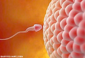 寶寶在美國出生有什么好處_孩子出生美國_怎樣生美國寶寶