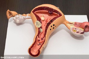 2025年昆明試管嬰兒成功率如何？昆明哪家助孕機(jī)構(gòu)試管成功率更高？