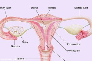 山西可以做試管三代機(jī)構(gòu)哪些好?附詳細(xì)機(jī)構(gòu)排名