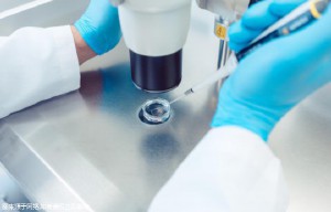 泰國試管機構(gòu)推薦：前十名醫(yī)院全面解析