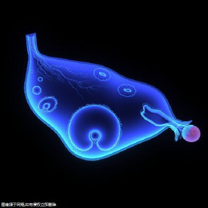 2025年泰州三代試管技術(shù)哪家強？泰州生殖助孕機構(gòu)如何選？