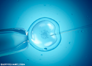 吃什么排卵多生寶寶怎么檢查早孕