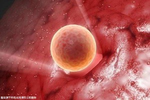 泰國第三代試管嬰兒服務機構哪家服務好