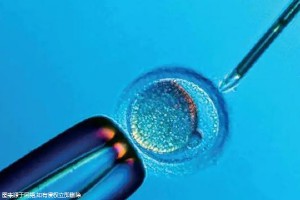 洛杉磯試管嬰兒葉酸片適宜攝入嗎？如何科學(xué)服用？