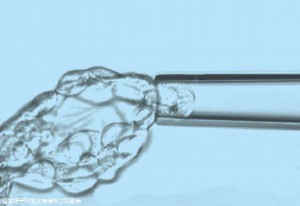 嘉興哪里有可以放心的三代試管助孕機(jī)構(gòu)？