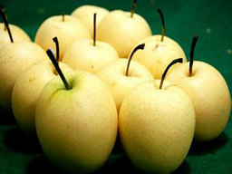 小兒肺熱的早期癥狀有哪些