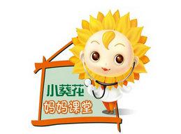 小葵花金銀花露的價格是多少