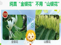 小孩上火便秘流鼻血怎么辦