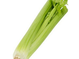 兒童上火 要吃什么降火