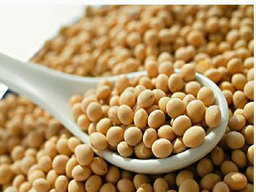 肥胖癥中藥治療方法有哪些