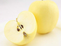 吃什么減肥藥效果比較好