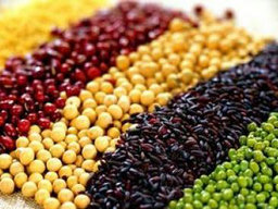 停止運動前如何控制體重