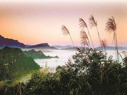 重慶太極水怎么樣