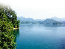 人們?yōu)槭裁聪矚g喝天然水