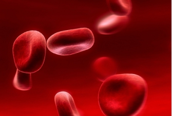 腎性貧血的原因，危害及診治