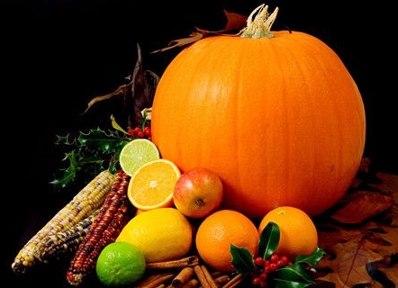 老年人缺鐵性貧血吃什么好得快