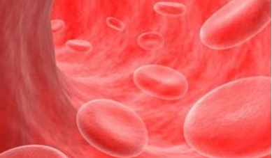 溶血性貧血怎么治