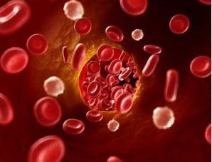 孕晚期貧血吃什么比較好