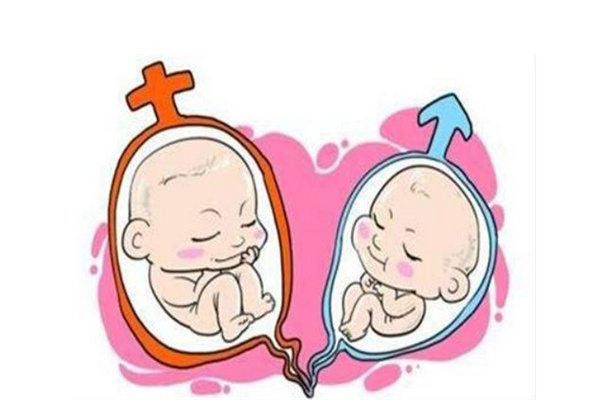 濱州私立醫(yī)院做三代試管一般多少錢？濱州最權(quán)威的私立試管嬰兒在哪做？