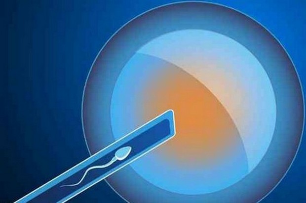 滄州助孕公司-滄州三代試管嬰兒助孕