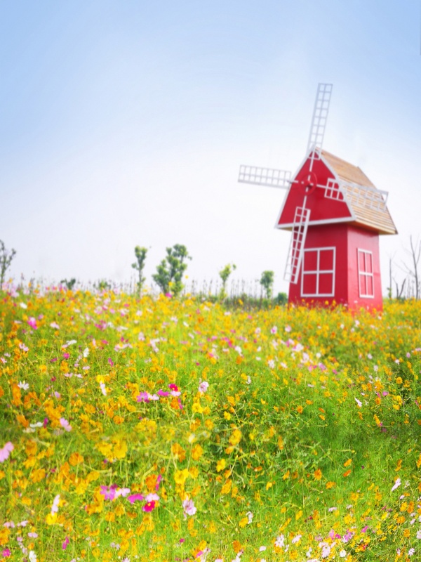 東京NK免疫療法適合哪些體質(zhì)人群接受？了解這些你也許會(huì)受益良多