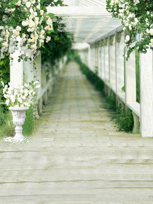 東京再生醫(yī)療能否改善慢性運(yùn)動(dòng)系統(tǒng)疾病的真相與案例分析