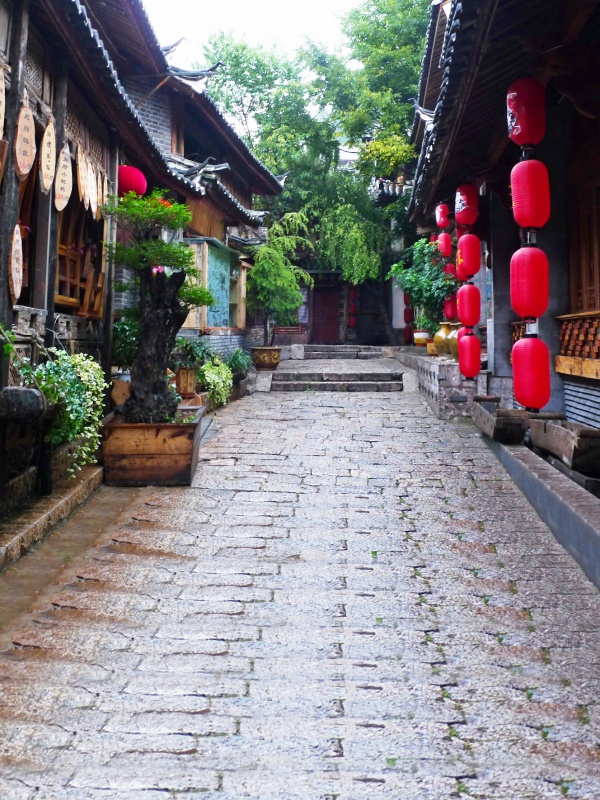 大阪的nk細胞療法過程究竟如何？讓我們一起探討一下