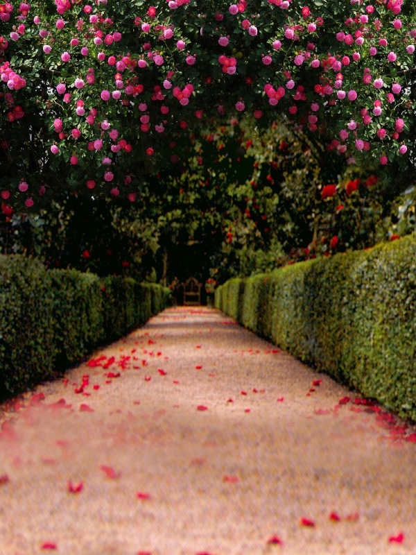 東京免疫療法適合什么樣的胃癌患者？專家的建議不容忽視