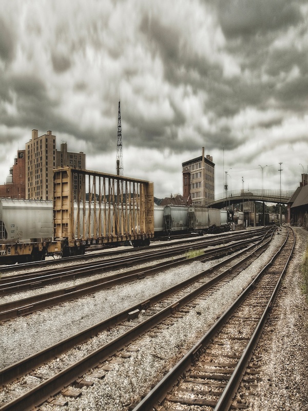 東京NK細(xì)胞是否影響機(jī)體微生態(tài)平衡的真相，你了解嗎？