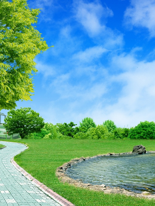 大阪nk細(xì)胞多少錢？了解這些信息讓你做出明智選擇