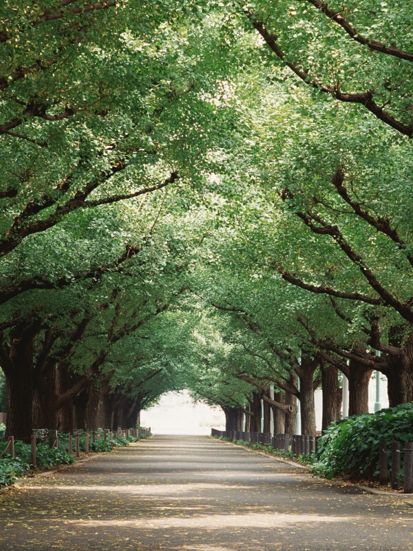 大阪的nk細胞療法過程究竟如何？讓我們一起探討一下