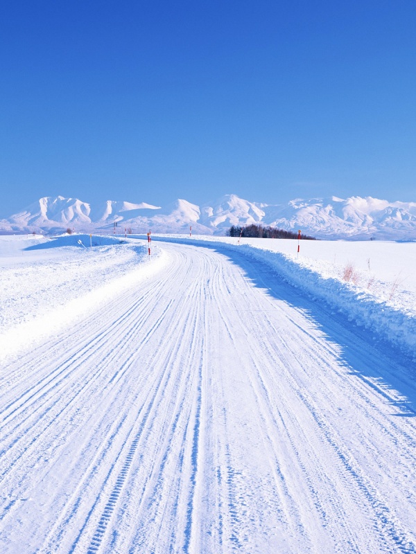 大阪nk免疫細(xì)胞治療：現(xiàn)代醫(yī)學(xué)的希望與挑戰(zhàn)