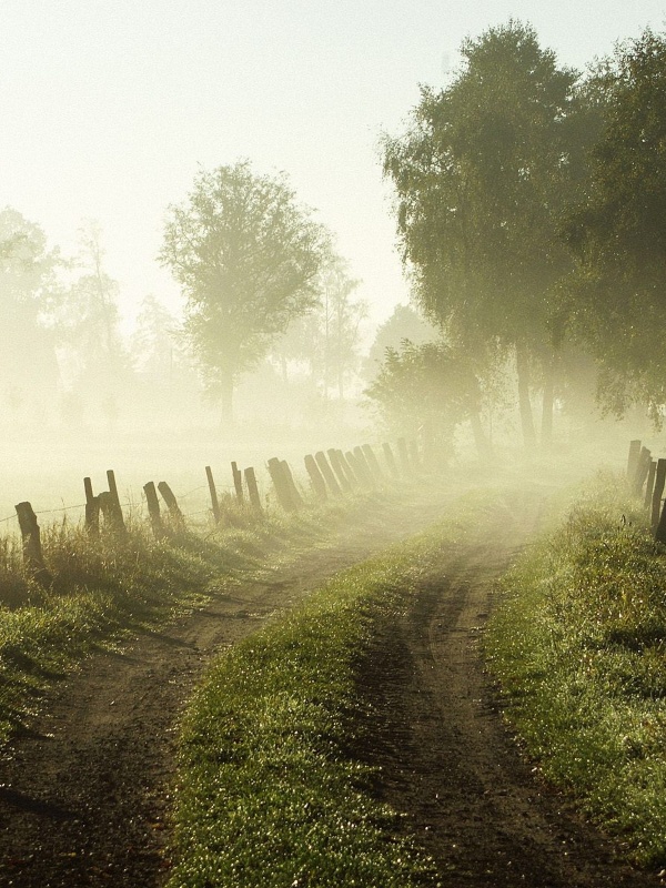 東京免疫療法術(shù)后營養(yǎng)干預(yù)建議有哪些值得關(guān)注的細(xì)節(jié)與技巧