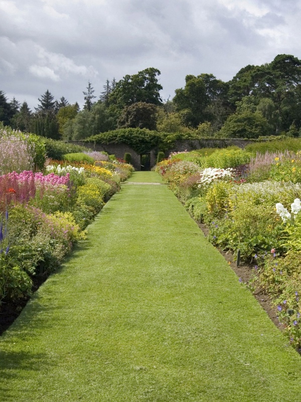 東京免疫療法對(duì)術(shù)后易感感染群體是否有用，真相是什么？
