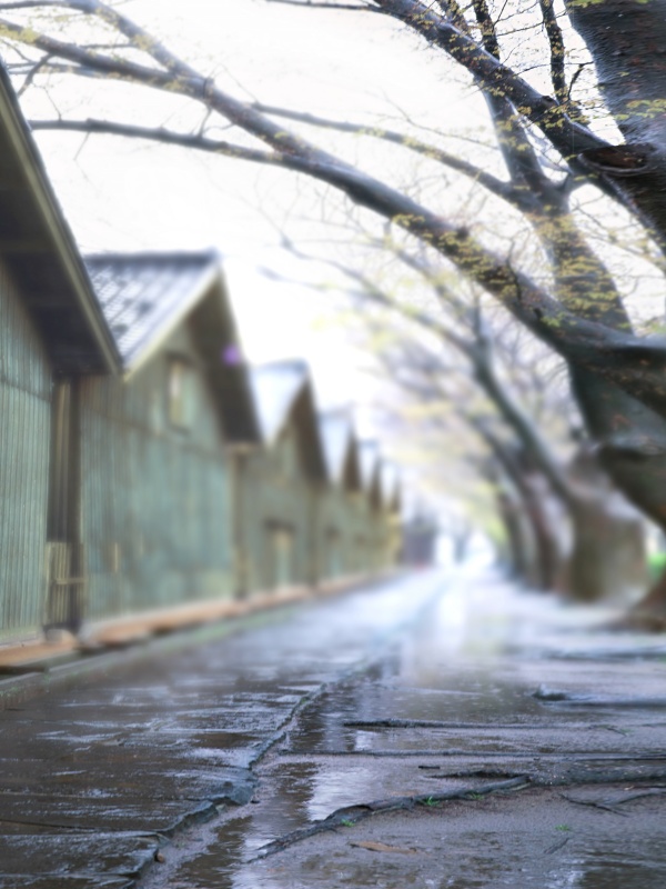 東京免疫療法對(duì)胃癌術(shù)后營(yíng)養(yǎng)恢復(fù)有無幫助，你了解嗎？