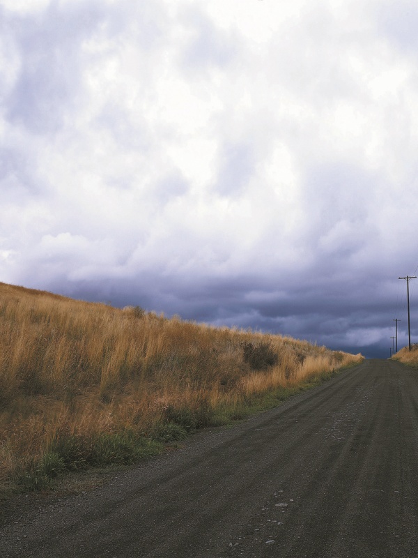 東京再生醫(yī)療是否可緩解慢性結(jié)腸炎癥狀的探索之旅