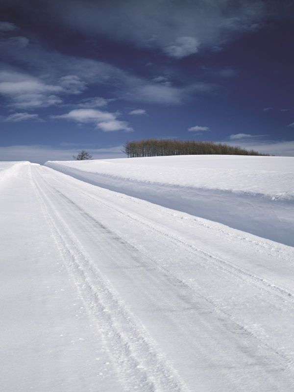東京再生醫(yī)療是否適合嚴(yán)重腸胃虛弱者？聽聽他們的故事