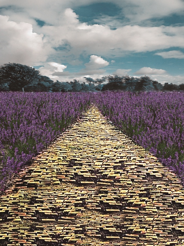 東京免疫療法對大腸癌術(shù)后控制有用嗎？看完這個故事你會明白