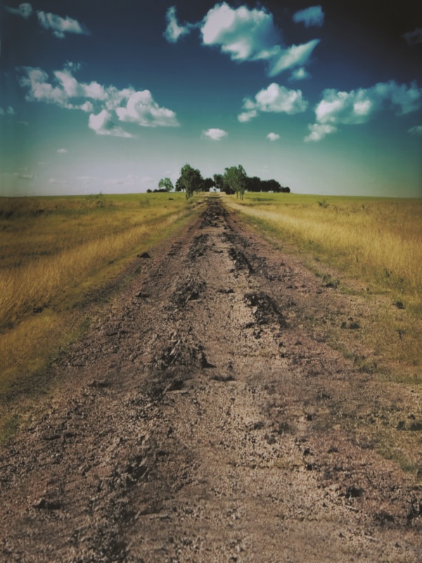 越來越多人選擇nk細(xì)胞大阪，值不值得？