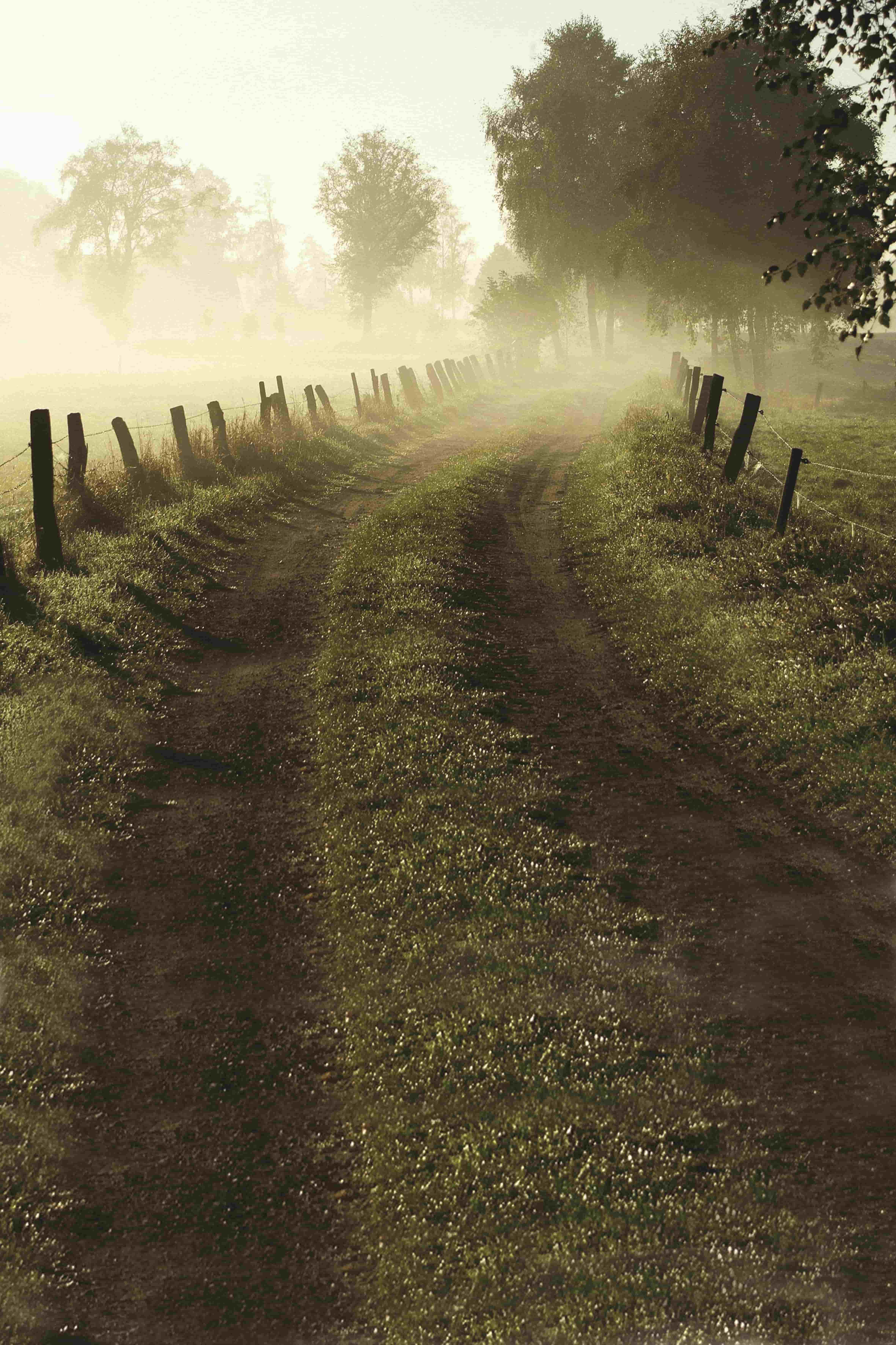 做東京干細胞是否需術(shù)前影像檢查，患者應(yīng)如何選擇？